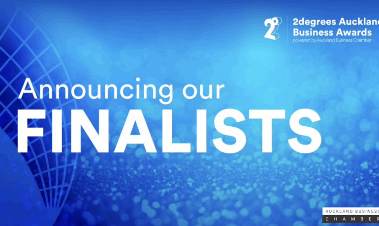 Finalist at 2degrees Business Awards